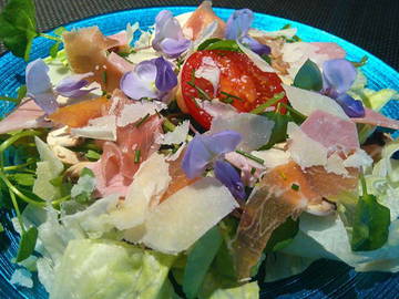 Gastfamilie Saint-Priest 28609-10