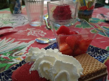 Homestay Saint-Priest 245247-10