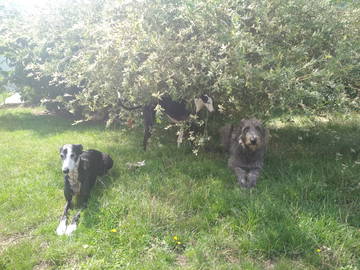 Chambre Chez L'habitant Belbeuf 108668-4