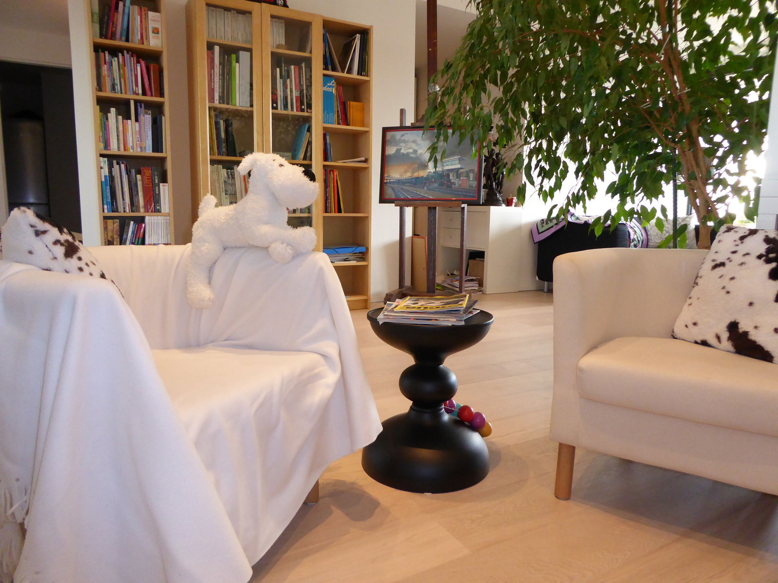 Homestay Molenbeek-Saint-Jean 143869