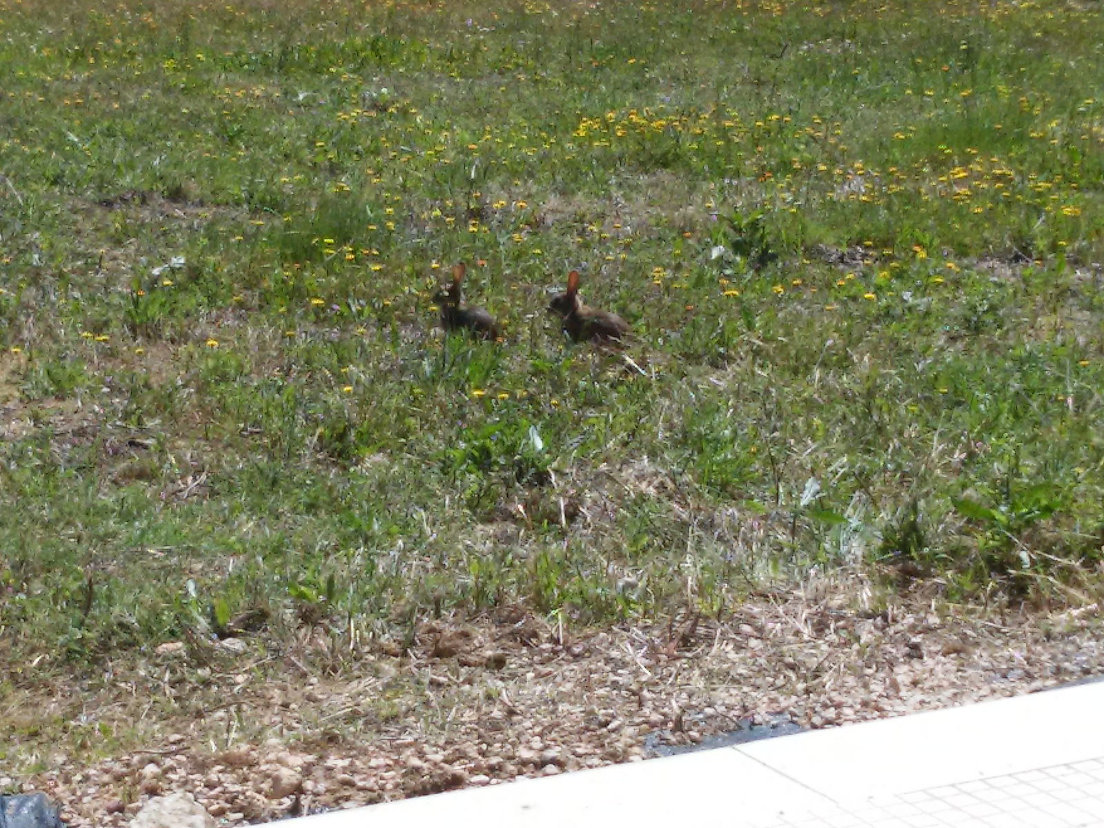 Homestay District de Santarém 162241