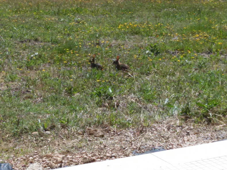 Homestay District de Santarém 162241-3