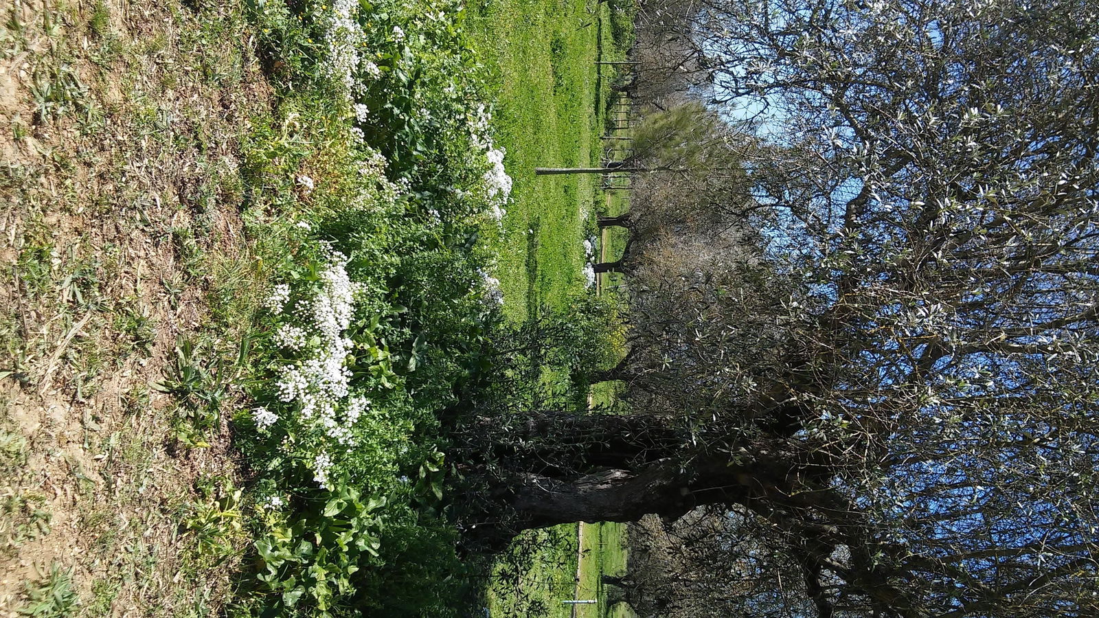 Homestay District de Santarém 162241