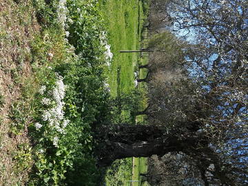 Hemvistelse District De Santarém 162241-5