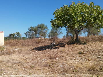 Hemvistelse District De Santarém 162241-7