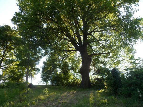 Homestay Provincia di Rimini 239313-2