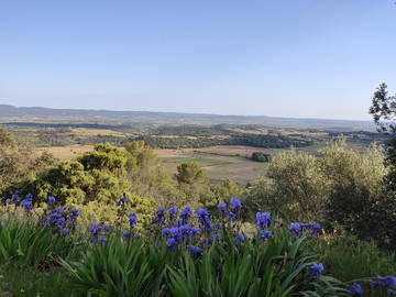 Chambre Chez L'habitant Montpeyroux 247759-4