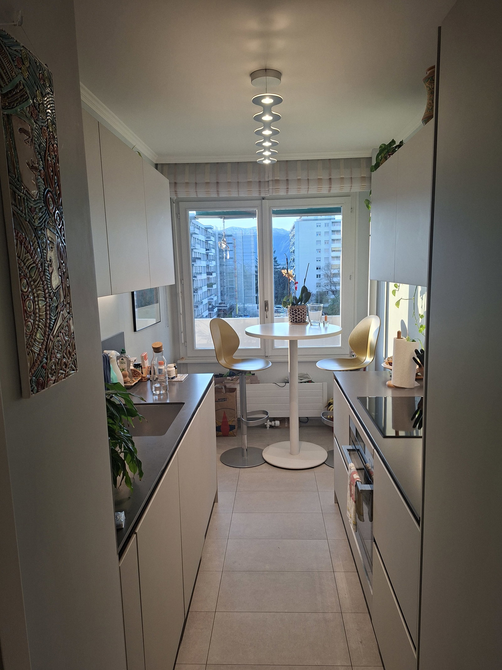 Colocation Le Grand-Saconnex 542909