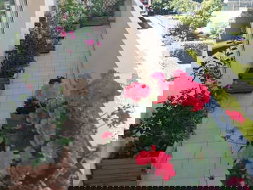 Alojamiento Compartido Le Grand-Saconnex 551364-2