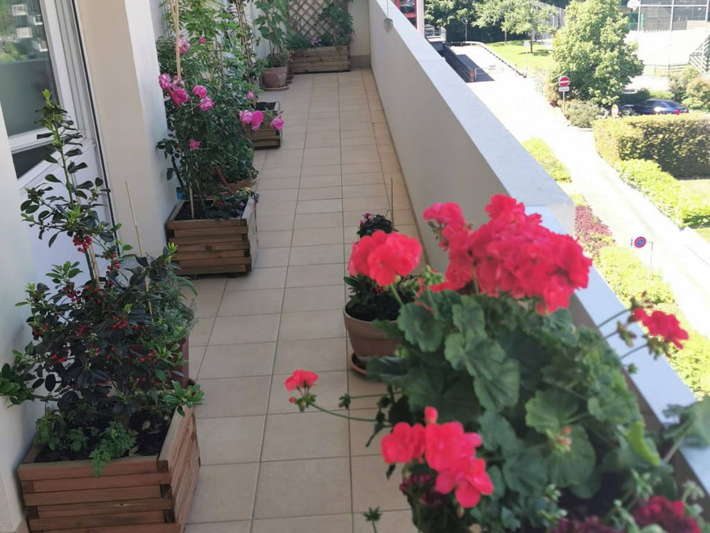 Colocation Le Grand-Saconnex 661842-1