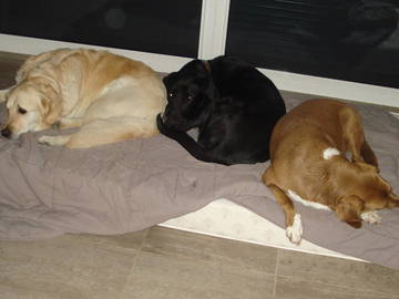 Chambre Chez L'habitant La Motte-D'aigues 269623-6