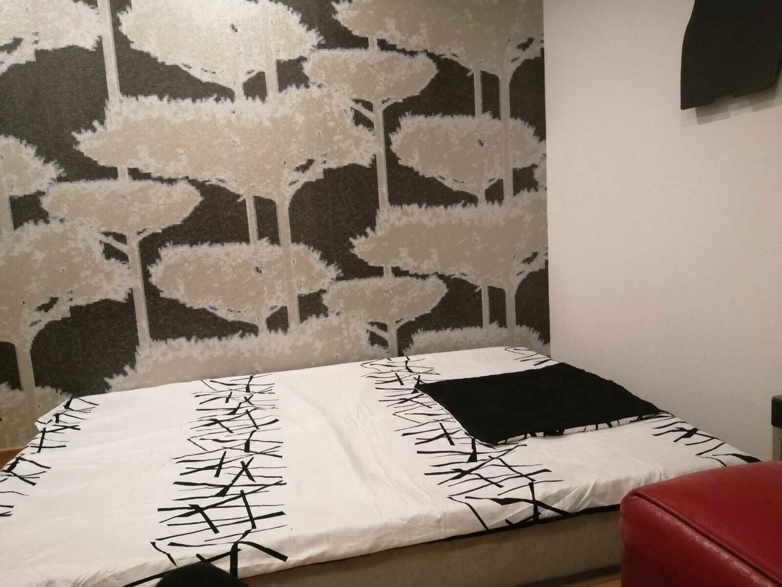 Colocation Oviedo 240549