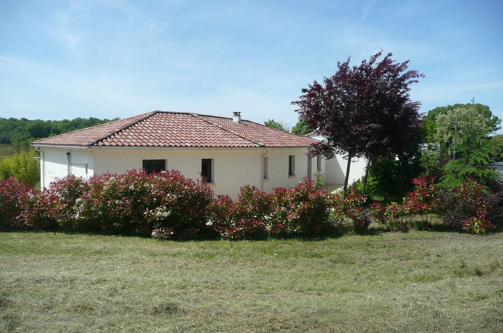 Homestay Nabirat 46234