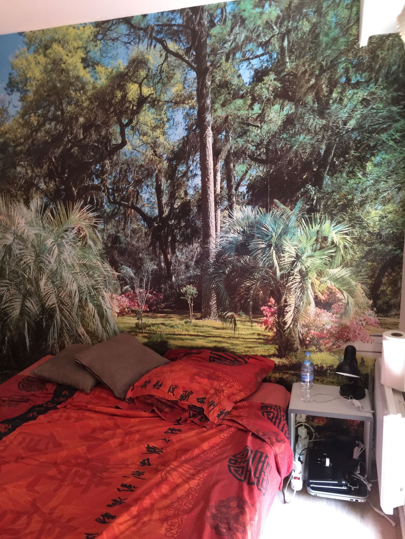 Homestay Nice 44337