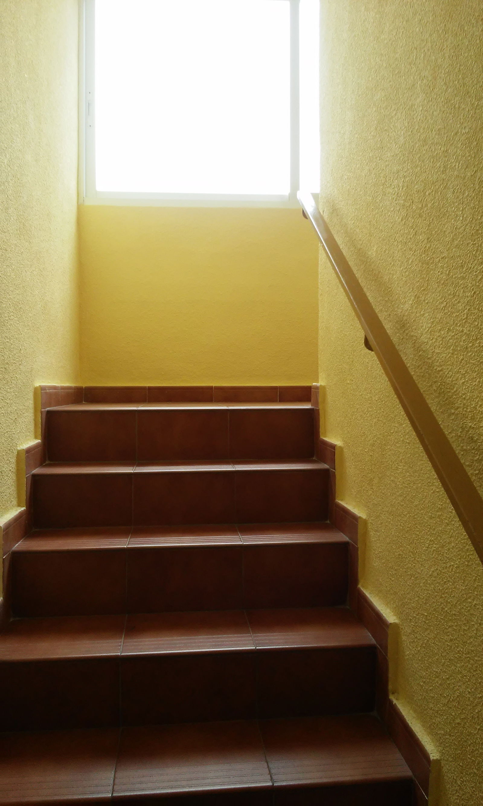 Homestay Madrid 166483