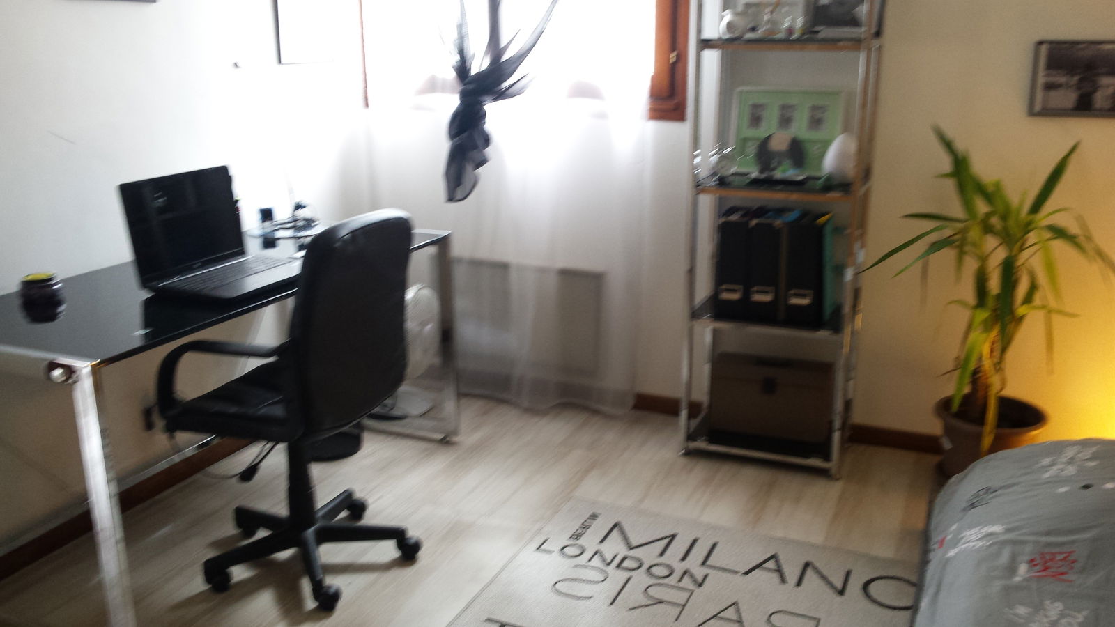 Homestay Torcy 106548