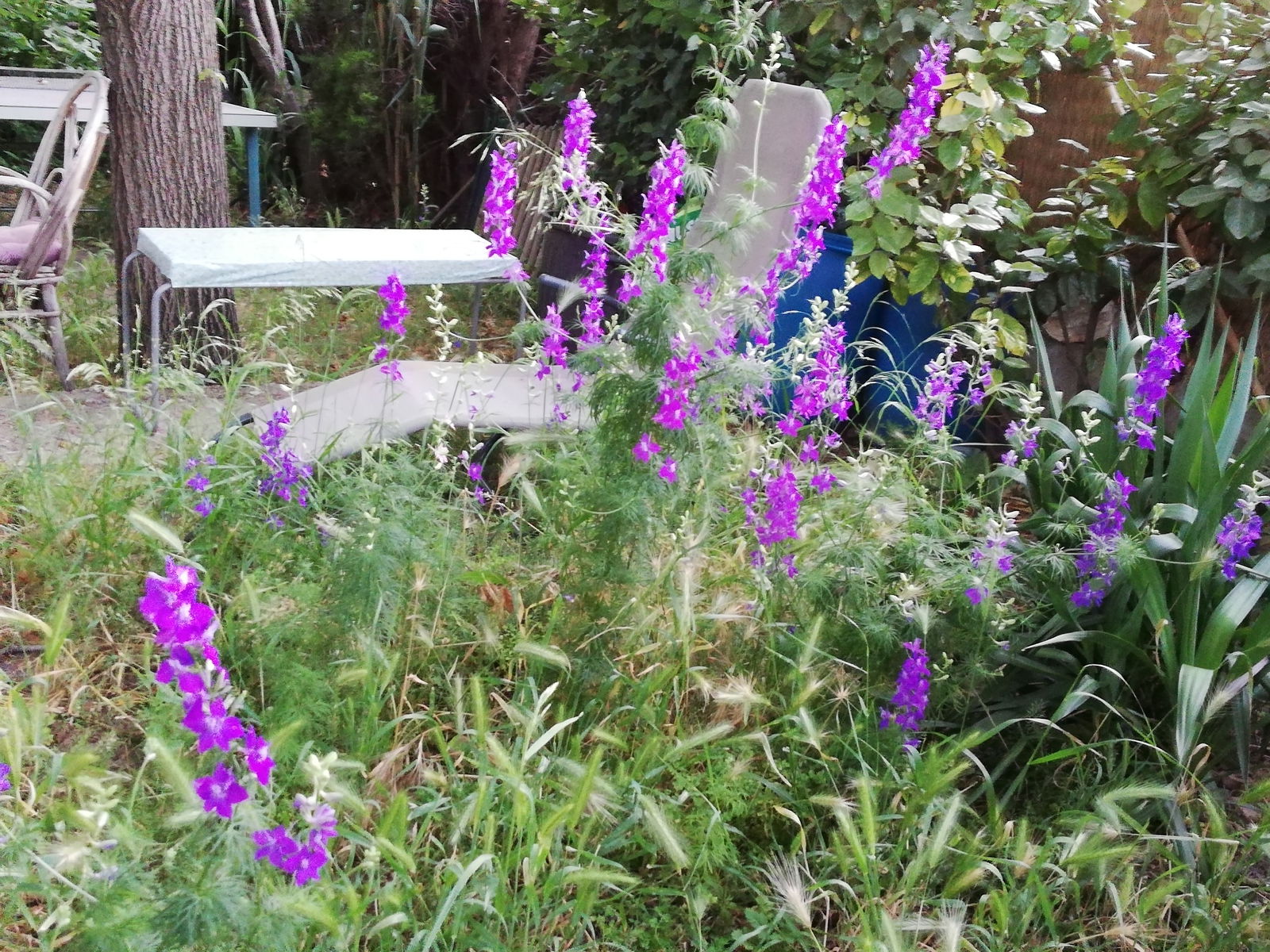 Homestay Marseille 123730