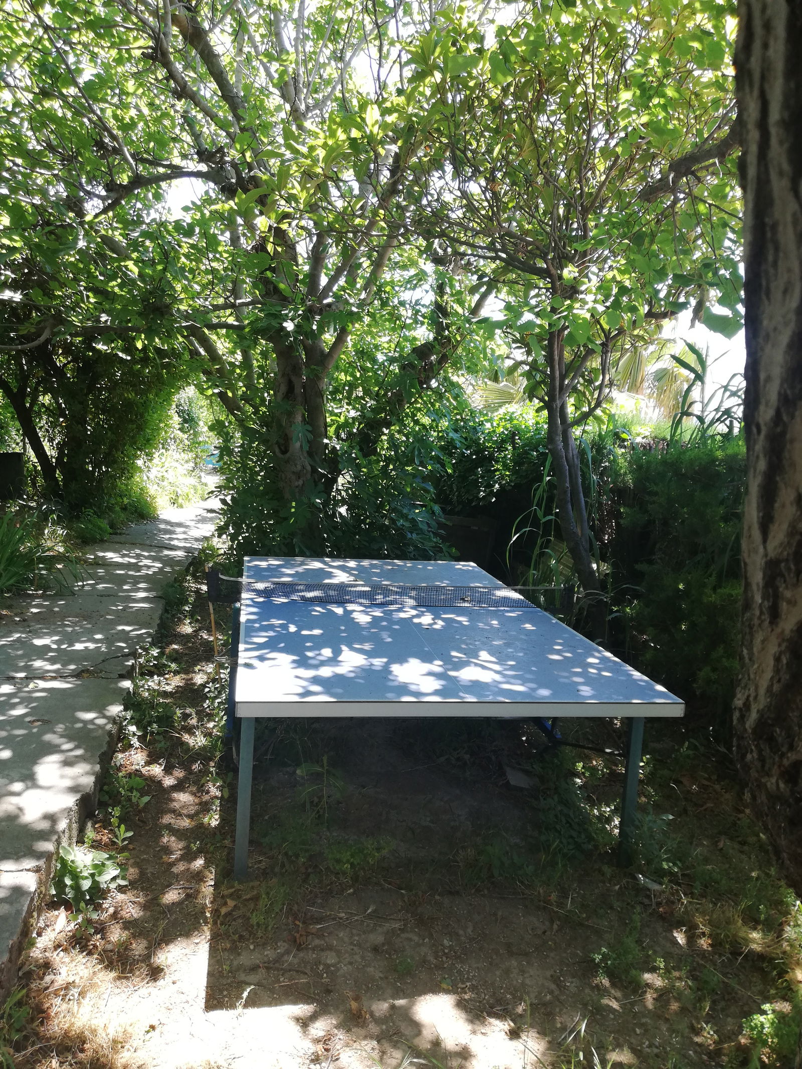 Homestay Marseille 123730