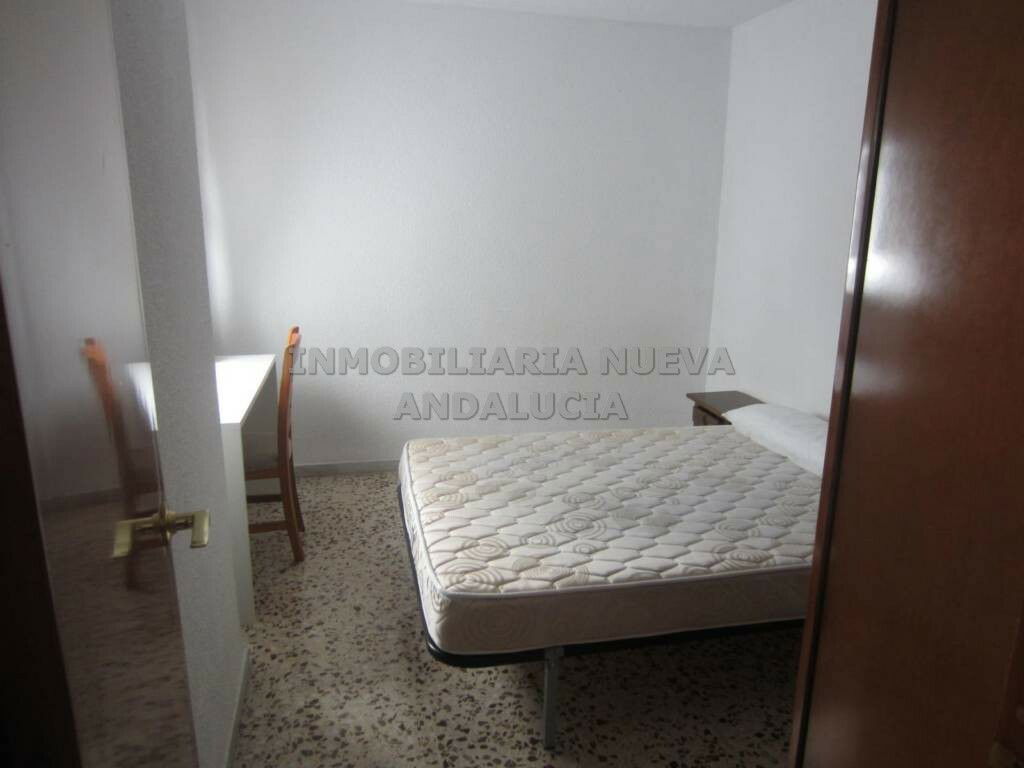 Colocation Almería 108720