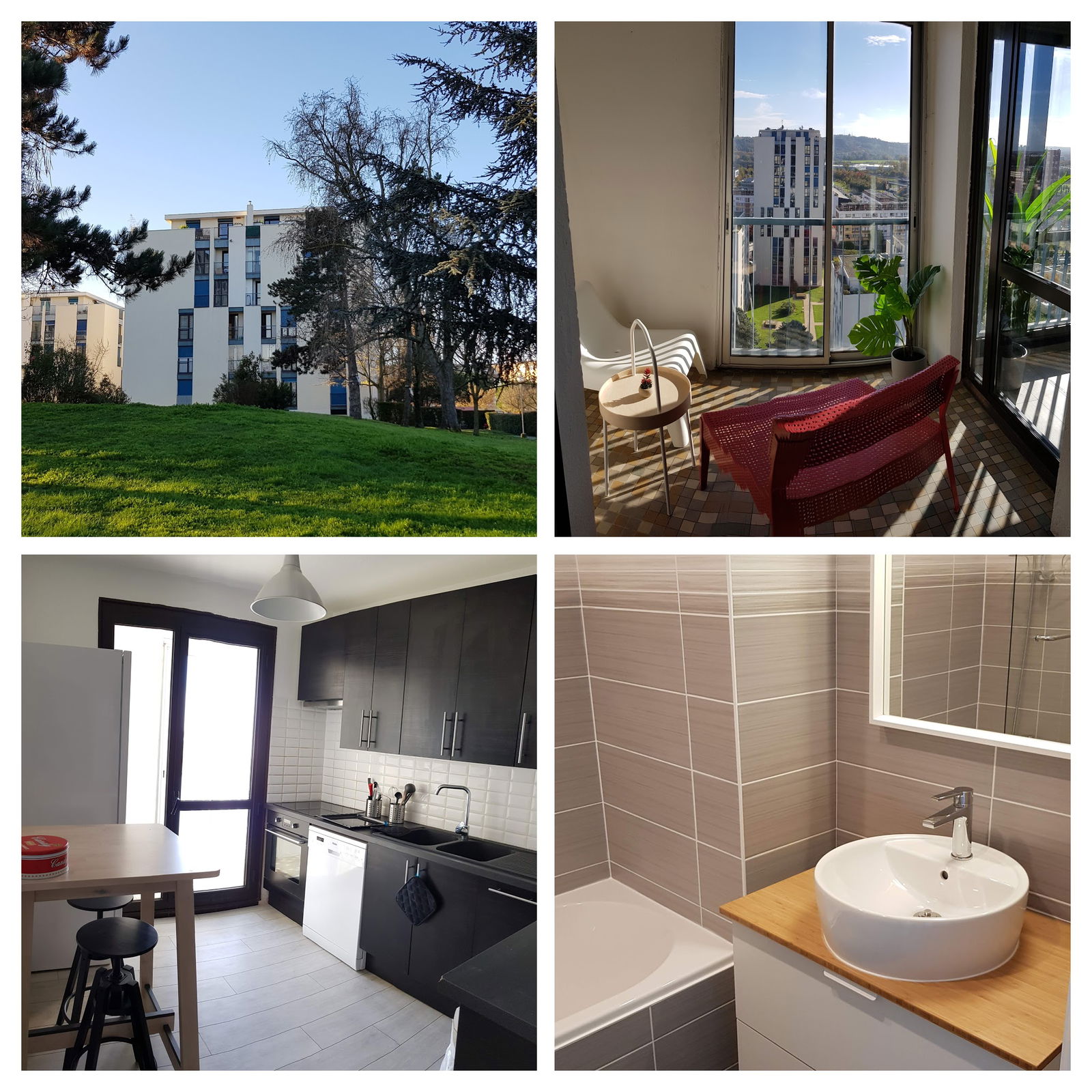 Colocation Toulouse 267517