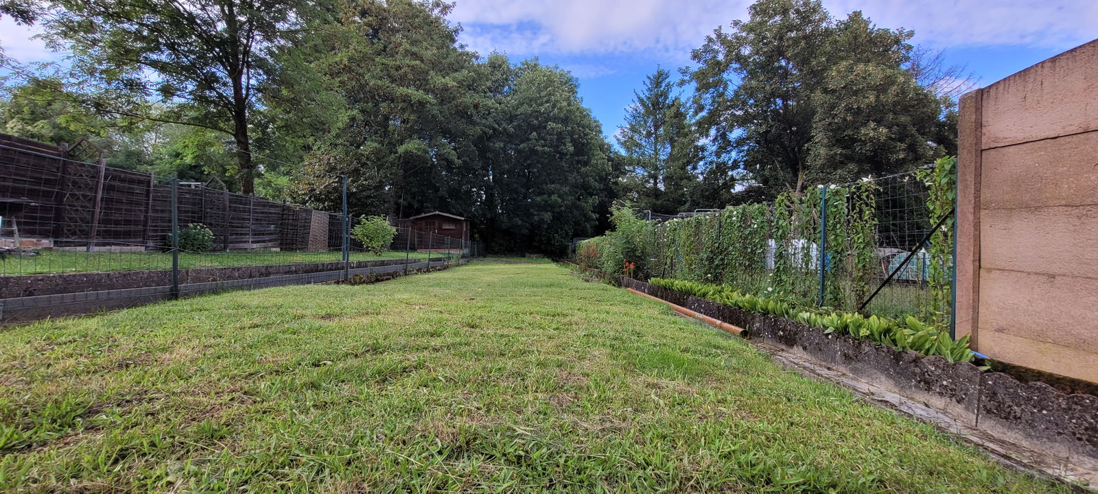 Colocation Charleroi 274860