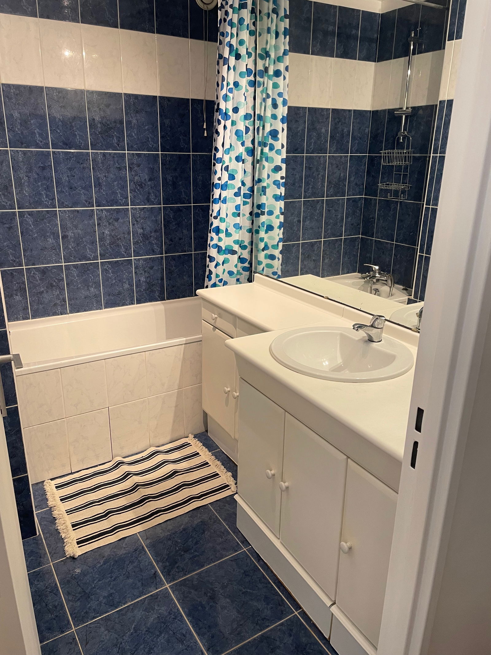 Colocation Paris 266066