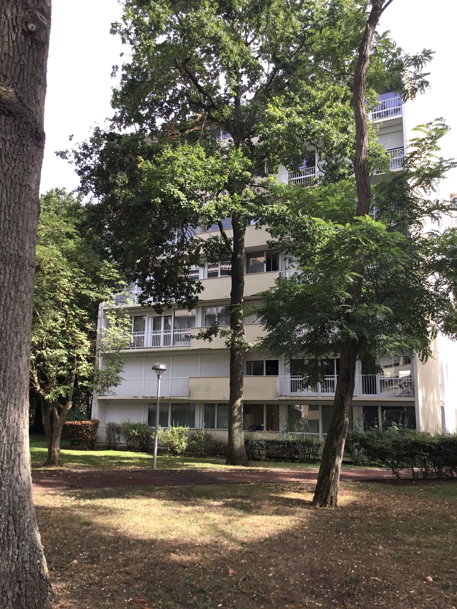 Colocation Cergy 256408