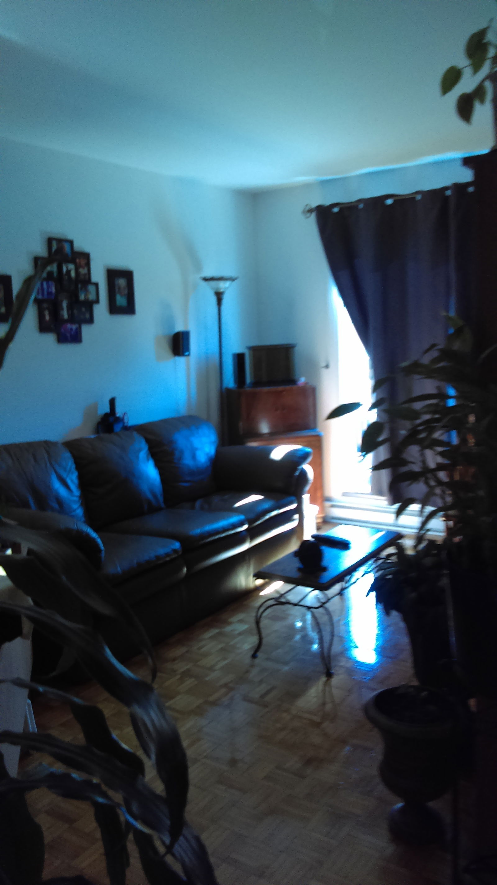 Colocation Montréal 126557