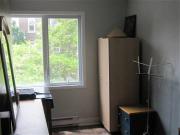 Chambre À Louer Montréal 247114