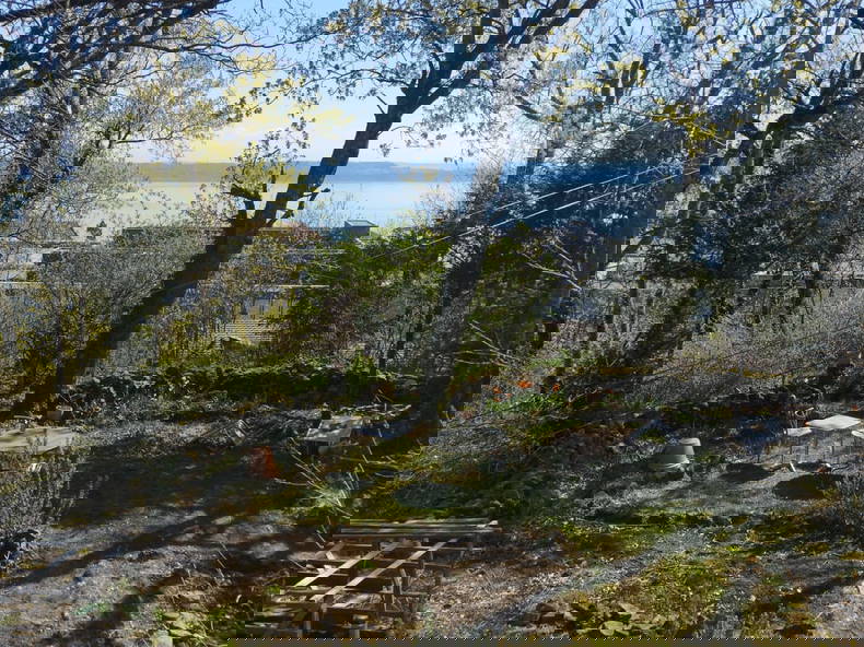 Colocation Neuchâtel 265855-2