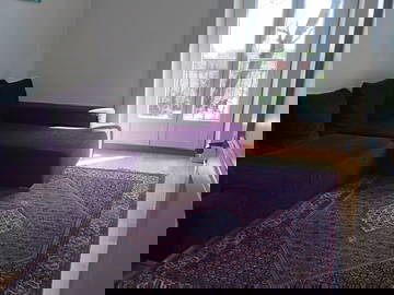 Colocation Neuchâtel 265855-8