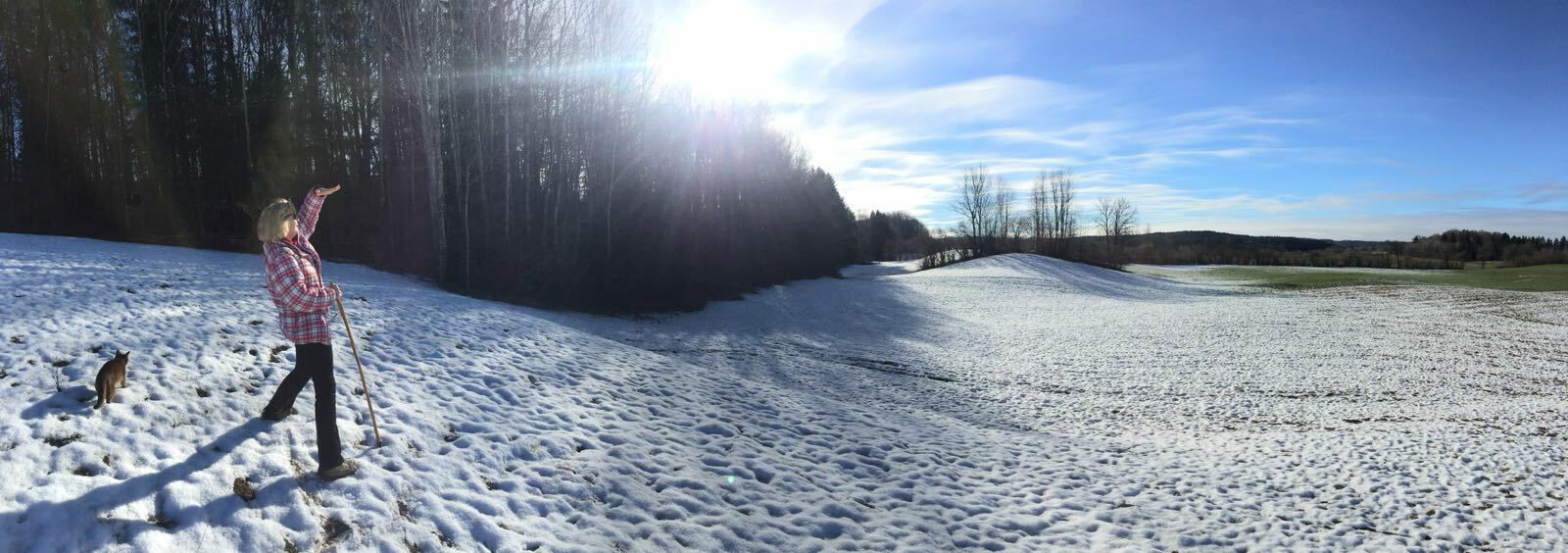 Colocation Chênex 86168