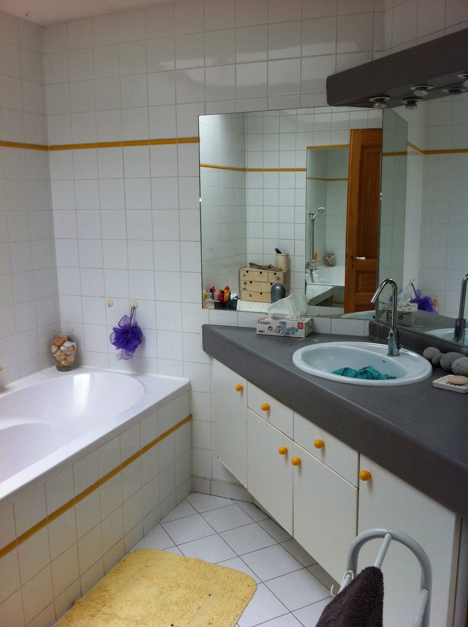 Colocation Satolas-et-Bonce 69601