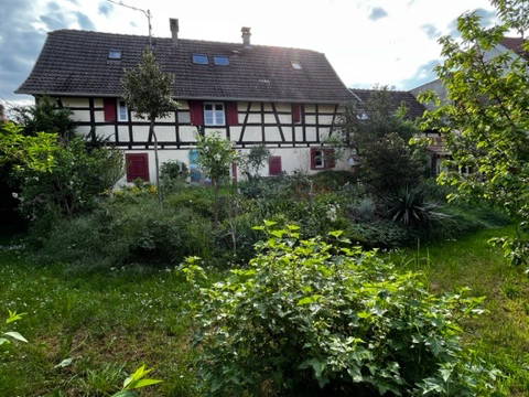 Chambre À Louer Blaesheim 266372