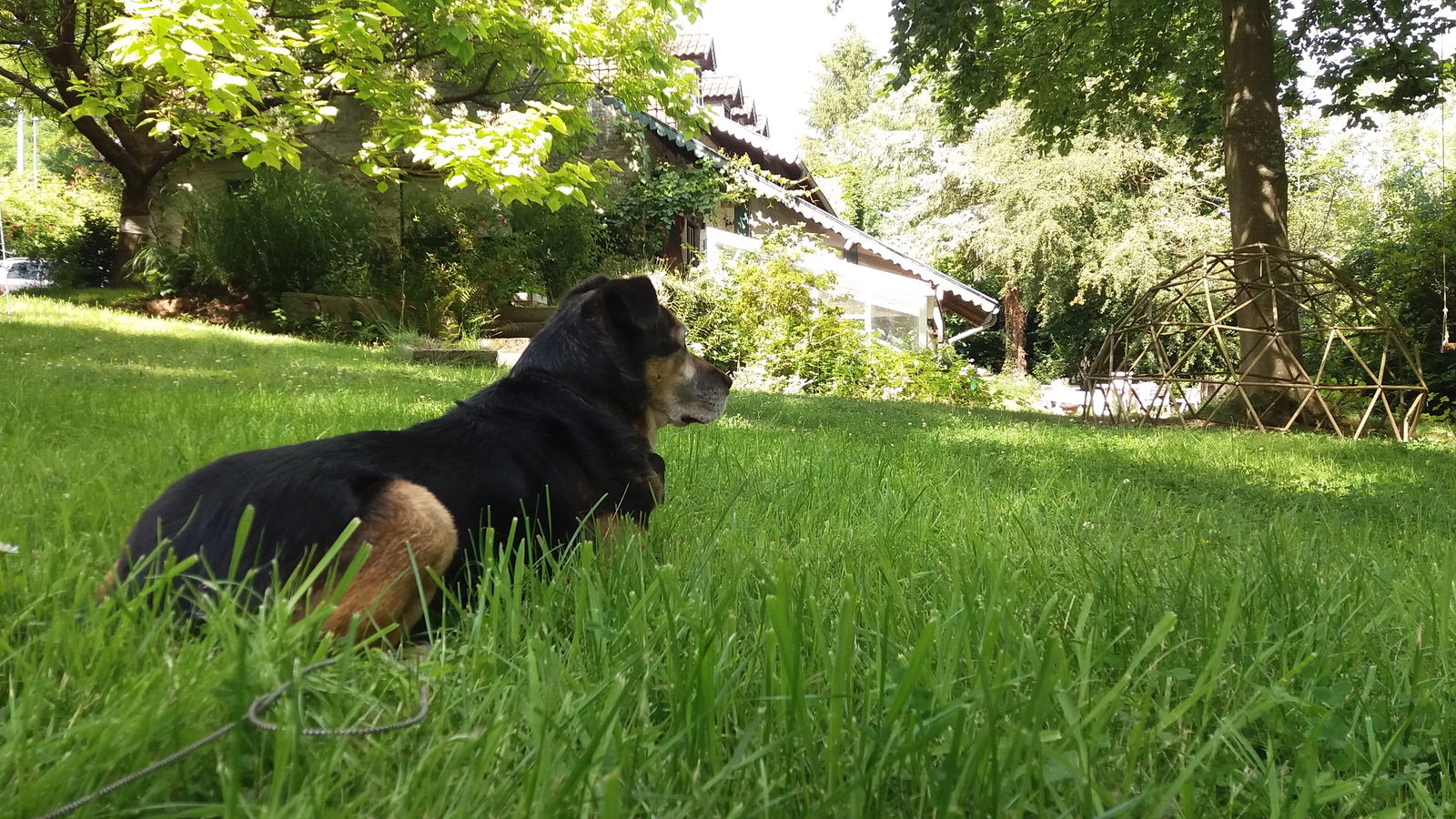 Homestay Court-St.-Étienne 265462