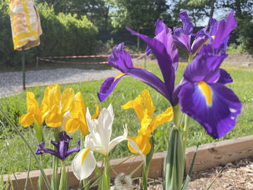 Chambre Chez L'habitant Digne-Les-Bains 386578-6