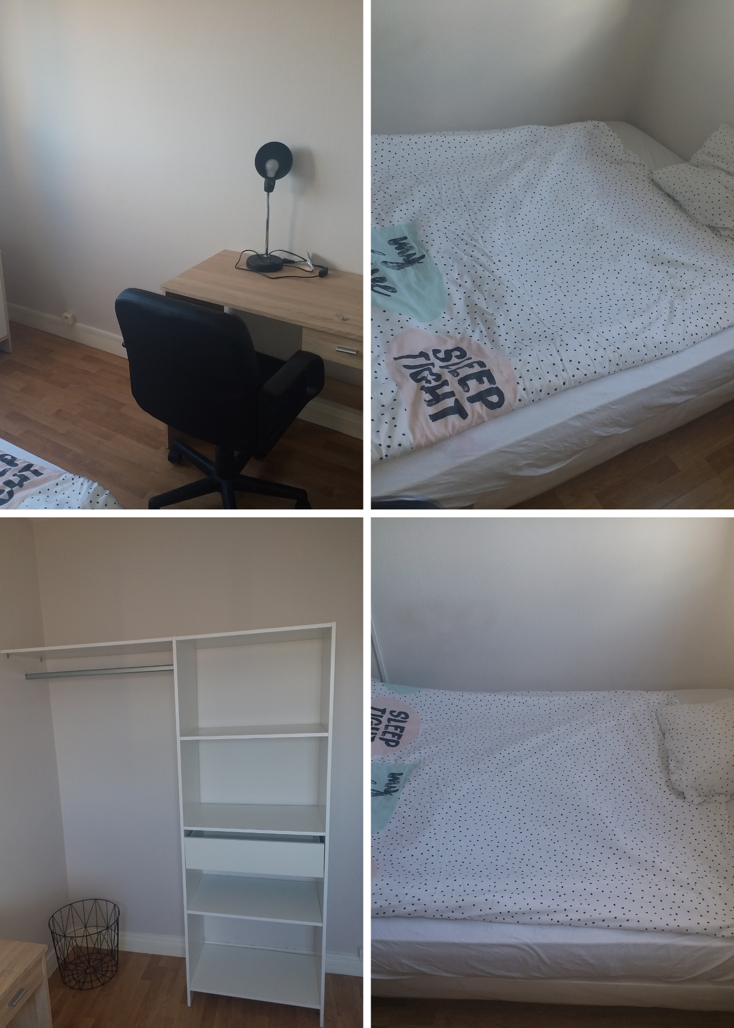 Colocation Le Mans 246246