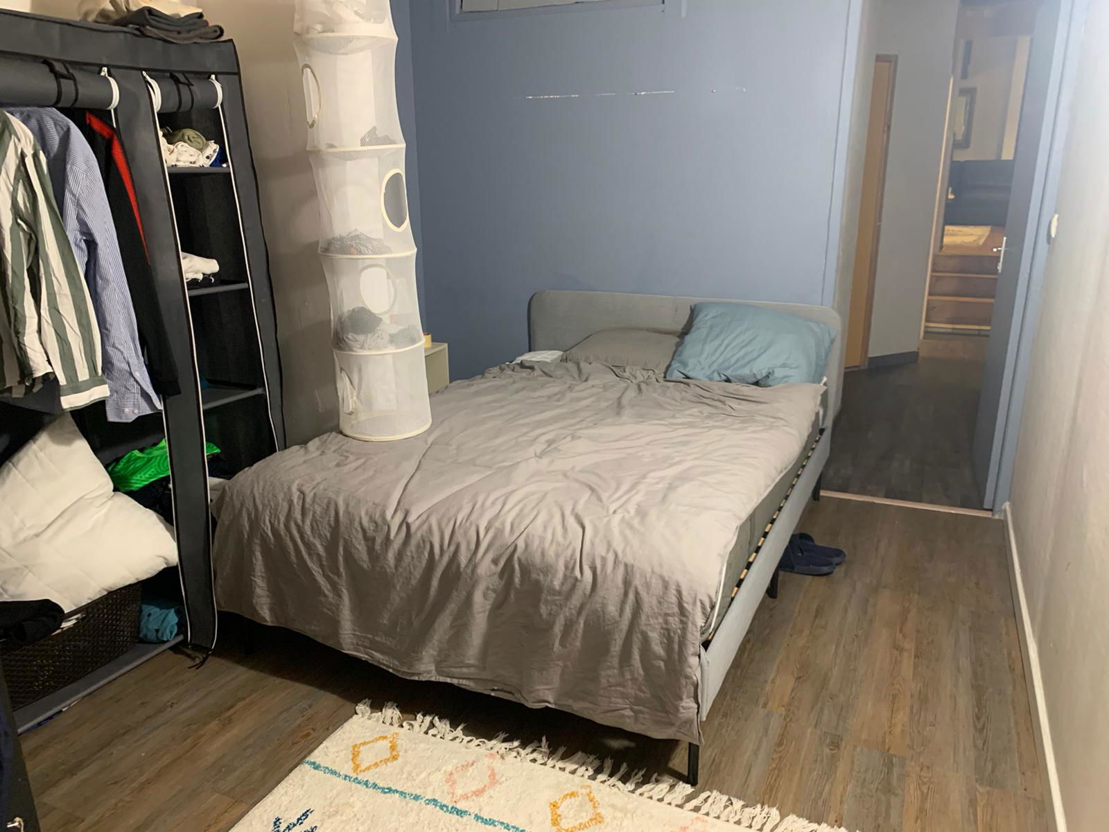 Colocation Montpellier 256818