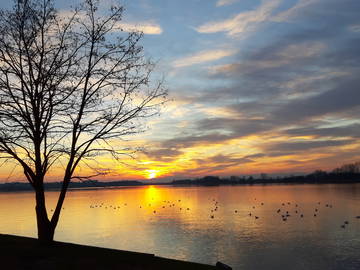 Colocation Jonage 158879-9