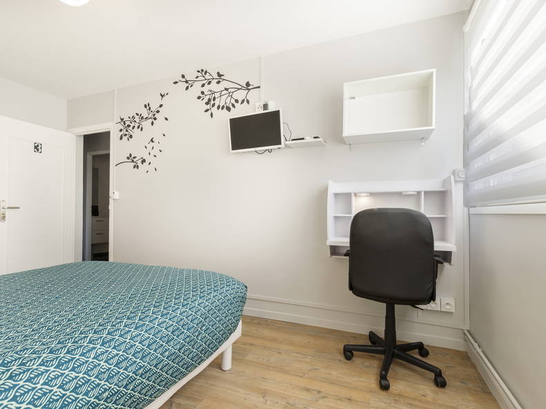 Colocatie Toulouse 245037-1