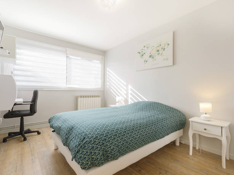 Colocatie Toulouse 245037-2