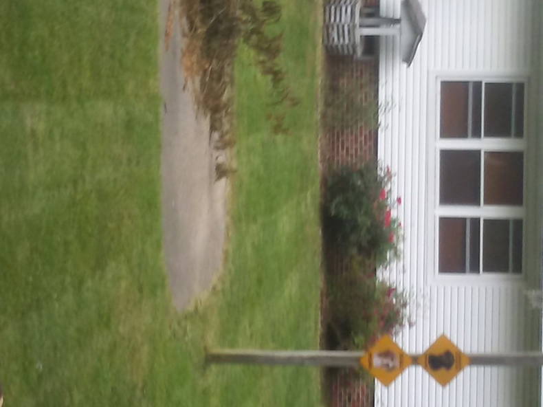 Quedarse En Casa Elsie 195610-2