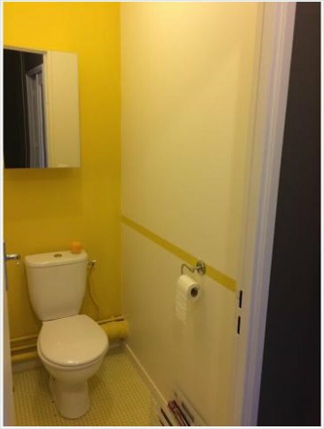 Colocation Strasbourg 246155