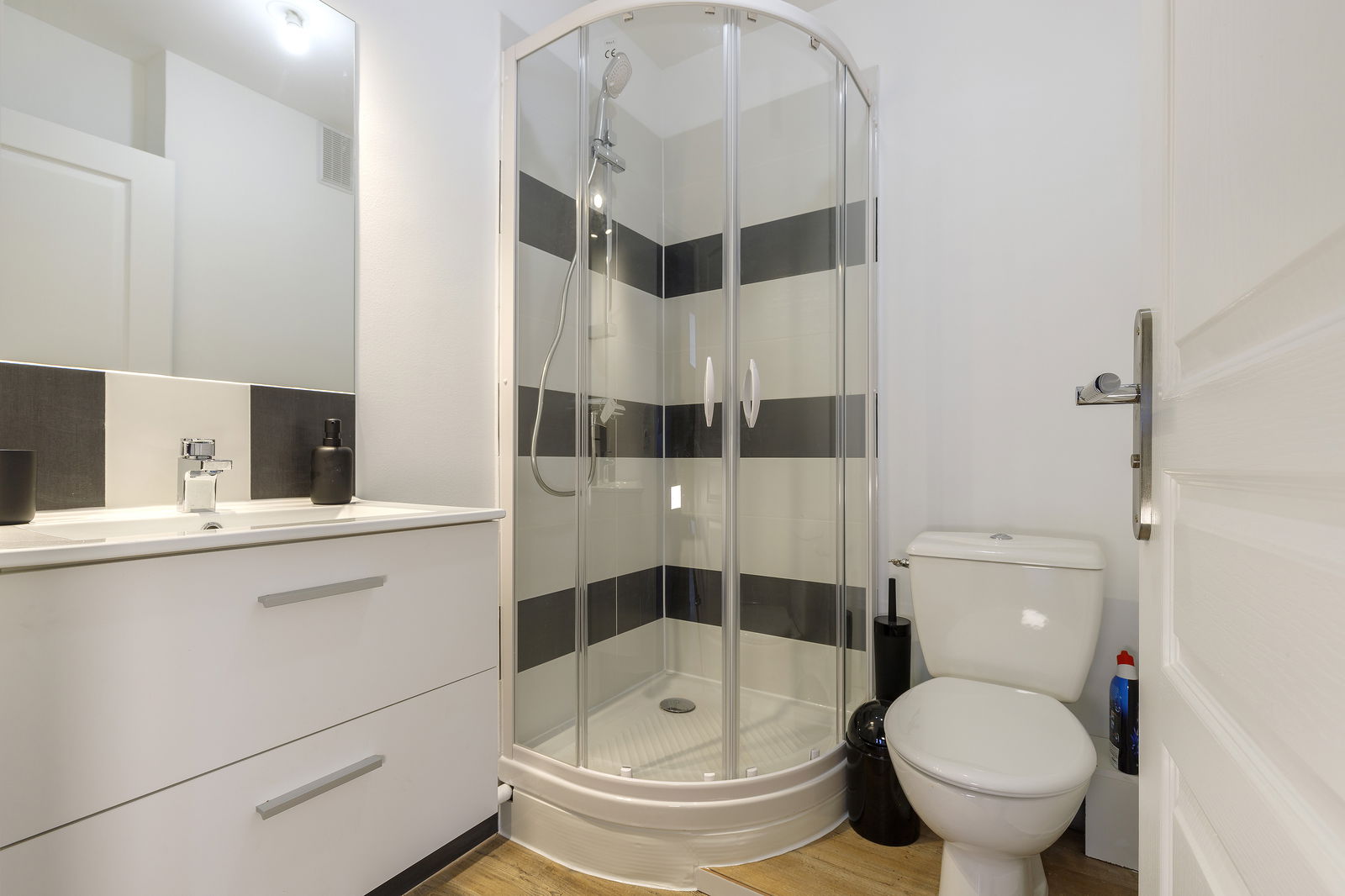 Colocation Toulouse 245036