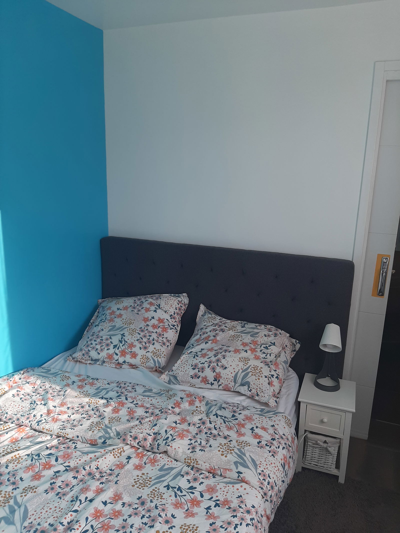 Colocation Vaulx-en-Velin 257597