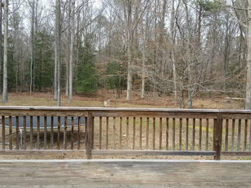 Chambre Chez L'habitant Aylett 158850-5