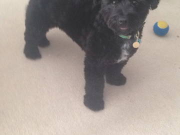 Chambre Chez L'habitant Edmonton 123119-6