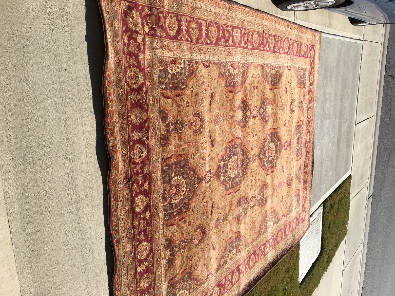 Gastgezin Raleigh 190597