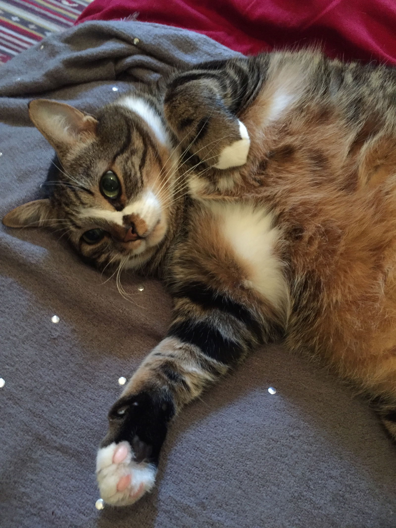 Homestay Marseille 303118