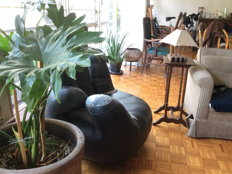 Famiglia México D.F. 213187-2